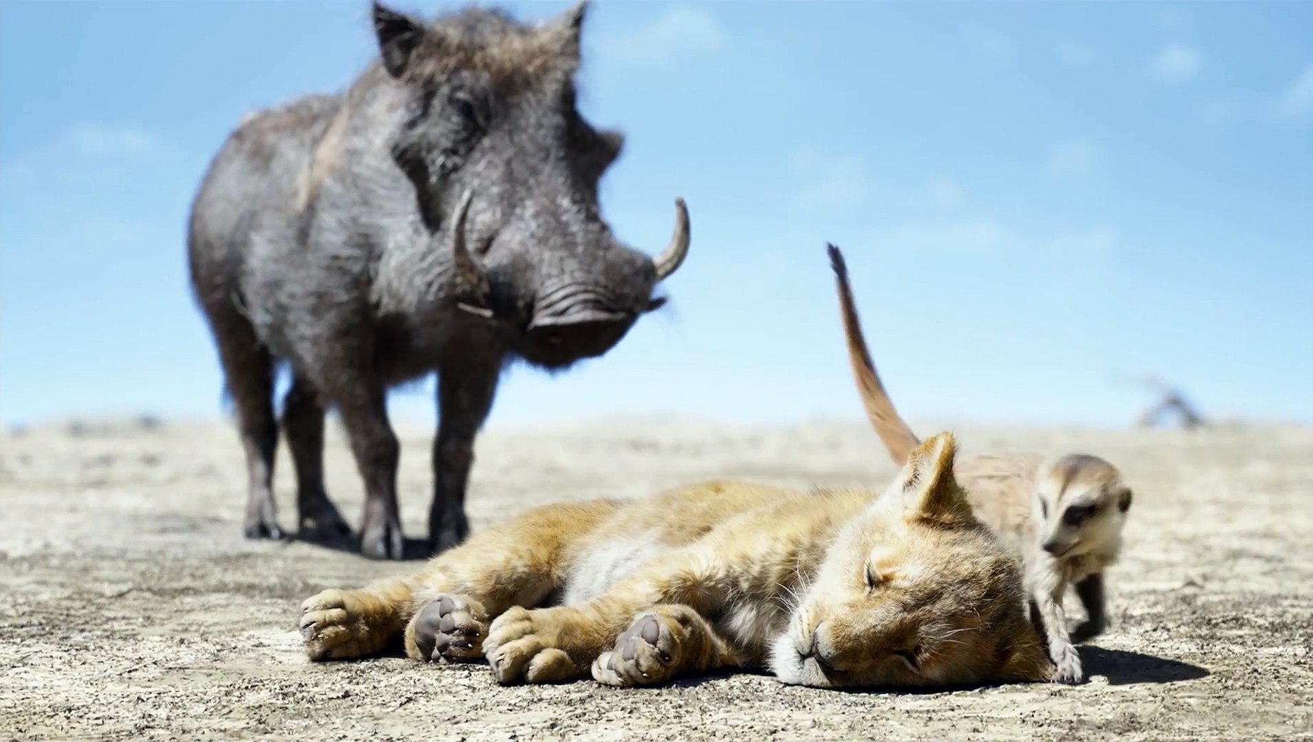 Timon Et Pumbaa Le Roi Lion