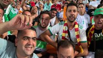 Supporters algeriens en finale