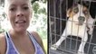 Incredible Rescue Mission To Save Animals After Hurricane