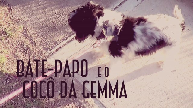 Bate-papo e o cocô da Gemma - EMVB - Emerson Martins Video Blog 2013