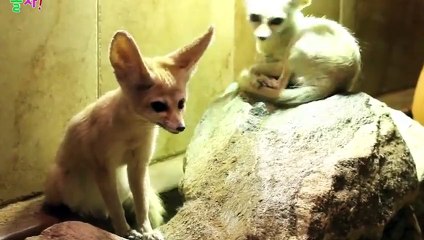 노원출장안마 -후불100%ョØ7ØS7333S9649｛카톡LGT010｝ 노원전지역출장안마 노원오피걸 노원출장마사지 노원안마 노원출장마사지 노원콜걸샵∑⇒∃