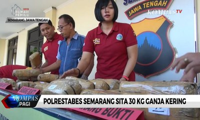 Tải video: Polrestabes Semarang Sita 30 Kg Ganja Kering