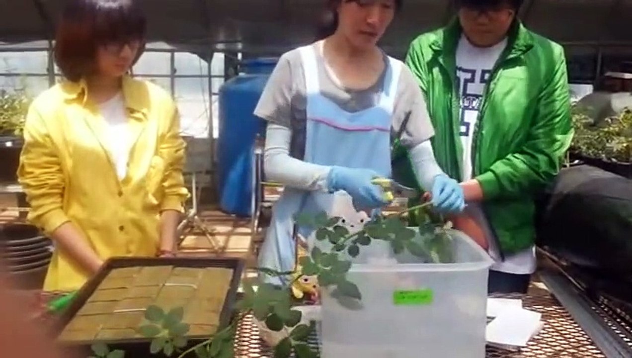 울산출장타이 OiOc7362c3210｛카톡VR91｝ぱ울산출장안@마ぱ울산출장샵ぱ울산출장맛사지 ぱ울산출장걸썰 울산출장걸가격 울산출장러시아 울산외국인후불출장업소 울산24시출장마사지샵'예약СТУ