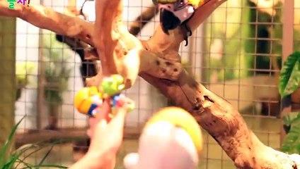 안동출장안마 -후불100%ョO7Os7301s9649｛카톡CS69｝ 안동전지역출장안마 안동오피걸 안동출장마사지 안동안마 안동출장마사지 안동콜걸샵ヂッツ