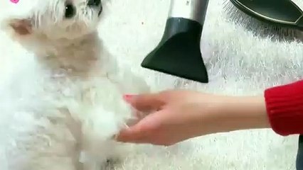 산청출장타이O7Os7333s9649｛카톡VV23}ぱ산청출장안@마ぱ산청출장샵ぱ산청출장맛사지 ぱ산청출장걸썰 산청출장걸가격 산청출장러시아 산청외국인후불출장업소 산청24시출장마사지샵'예약ヮワヰ