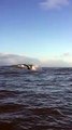 Ondas impressionam na Praia da Costa, em Vila Velha