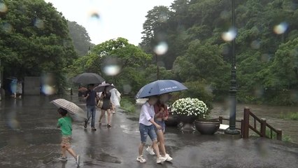 태풍, 전남에서 소멸...비·바람 피해는 '계속' / YTN