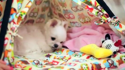 양양출장안마 -후불100%ョØ1ØS2671S8135｛카톡ZHF526｝ 양양전지역출장안마 양양오피걸 양양출장마사지 양양안마 양양출장마사지 양양콜걸샵ュユョ