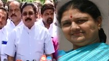 TTV Dinakaran : சசிகலாவை வெளியே கொண்டு வர சட்டரீதியான முயற்சிகள்- டிடிவி தினகரன்- வீடியோ
