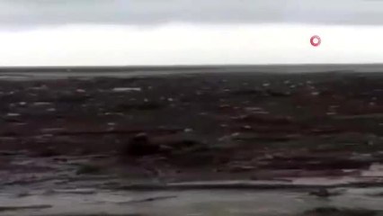 Sele kapılan köpeği vatandaş yüzerek kurtardı