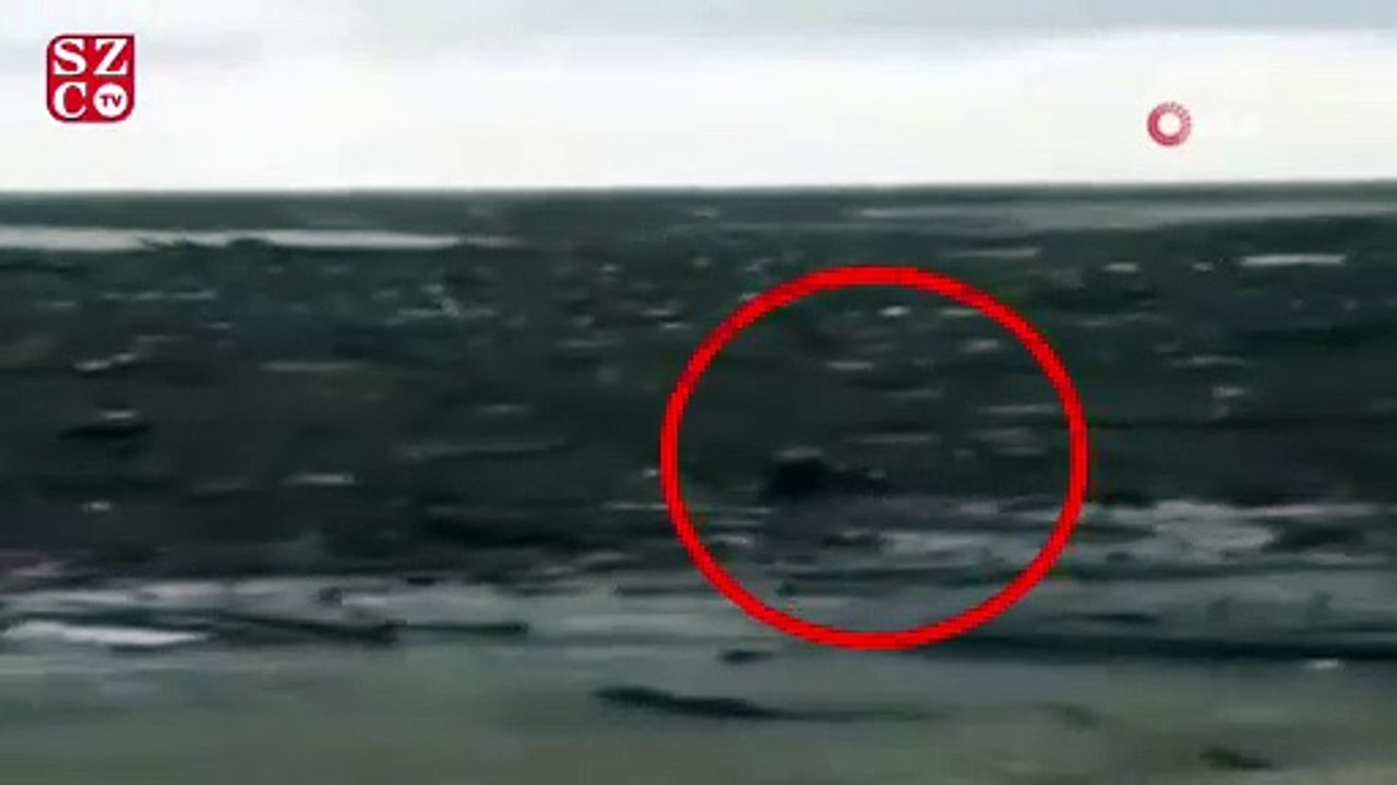 Sele kapılan köpeği vatandaş yüzerek kurtardı