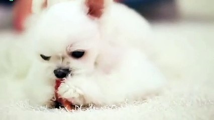 팔달출장안마 -후불100%ョØ1ØE7362E3210｛카톡BB5858｝ 팔달전지역출장안마 팔달오피걸 팔달출장마사지 팔달안마 팔달출장마사지 팔달콜걸샵♩♬☜