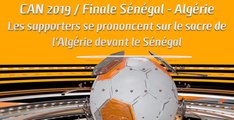 Microdrome de la CAN : CAN 2019 / Finale  Sénégal - Algérie Les supporters se prononcent sur le sacre de l'Algérie devant le Sénégal