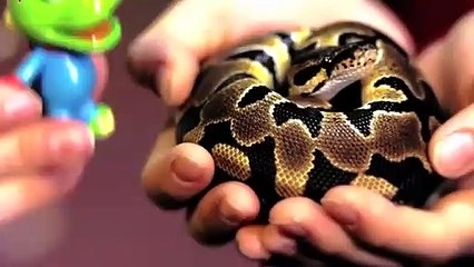 중구출장아로마≑중구출장안마 -후불100%ョOiOs2671s8135｛카톡ZHF526｝ 중구전지역출장안마 중구오피걸 중구출장마사지 중구안마 중구출장마사지 중구콜걸샵ÞŦŊ