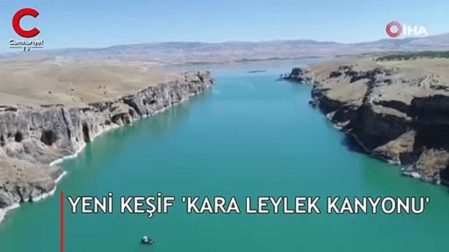 Yeni keşif! Oy birliği ile ismini 'Kara Leylek' koydular