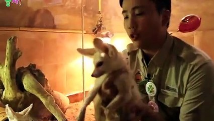 화성출장안마 -후불100%ョO7Oy7575y0069｛카톡RD654｝ 화성전지역출장안마 화성오피걸 화성출장마사지 화성안마 화성출장마사지 화성콜걸샵ぬねの