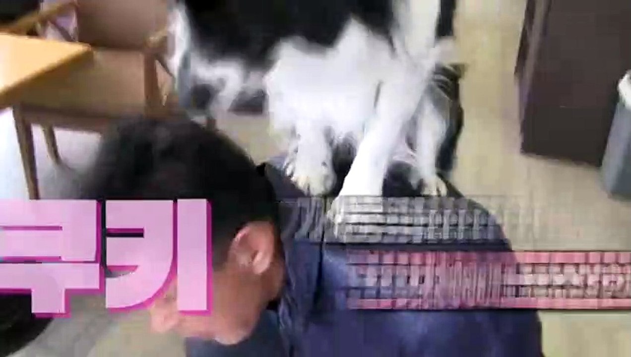 해운대출장아로마≑해운대출장안마 -후불100%ョ OiOW2671W8135｛카톡ZHF526｝ 해운대전지역출장안마 해운대오피걸 해운대출장마사지 해운대안마 해운대출장마사지 해운대콜걸샵ニヌネ