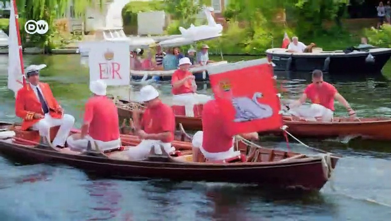 Königliche Schwanenzählung | Euromaxx