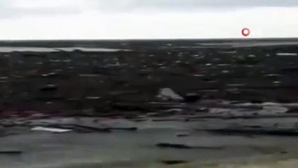 Sele kapılan köpeği vatandaş yüzerek böyle kurtardı