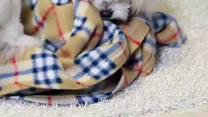 성북출장안마 -후불100%ョO7Os7301s9649｛카톡MOK66} 성북전지역출장안마 성북오피걸 성북출장마사지 성북안마 성북출장마사지 성북콜걸샵◑