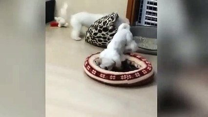 상무출장안마 -후불100%ョOiOc7362c3210｛카톡BB5858｝ 상무전지역출장안마 상무오피걸 상무출장마사지 상무안마 상무출장마사지 상무콜걸샵トドナ