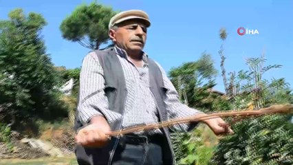 Bir dut dalıyla tarlaları suya kavuşturuyor