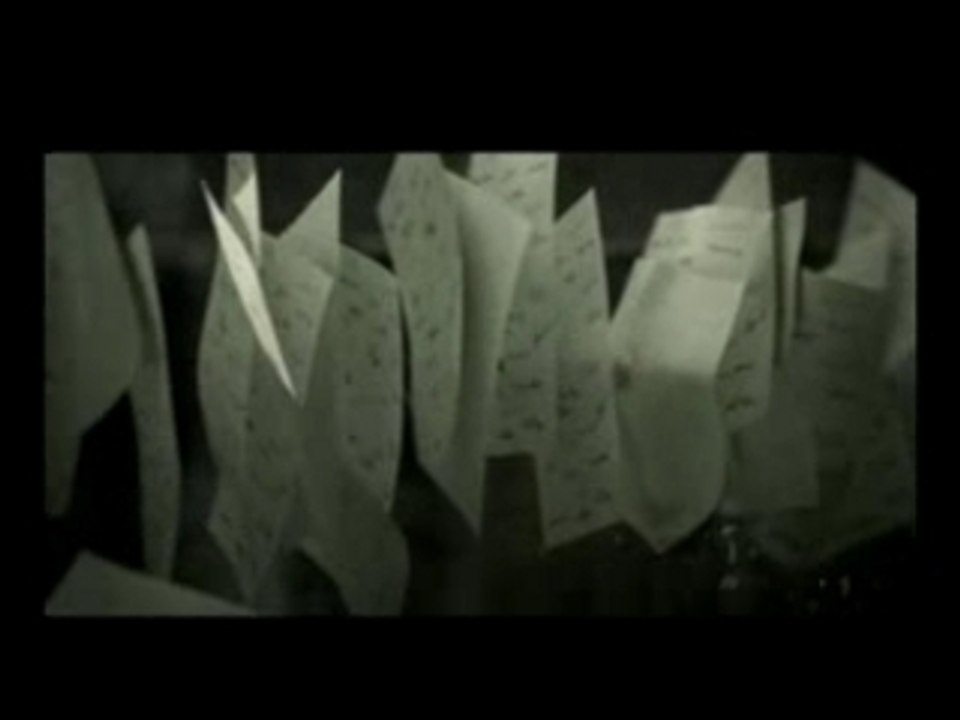 Amnesty International : Balle