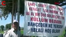 Yurttaşlar şaşkın! Yetiştirdiği domates, biber, patlıcan ve karpuzu bedava veriyor