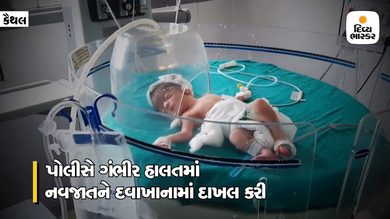 સગી જનેતાએ દિકરીને ગટરમાં ફેંકી દીધી, રખડતા કૂતરાઓએ તેને બચાવી