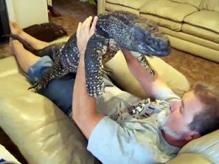 Descargar video: Il fait un gros calin à son lézard géant. Animal de compagnie insolite