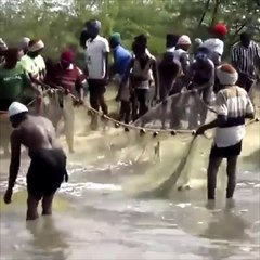 Amaing Fishing By Net How To Fishing By Net