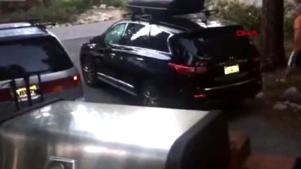 DHA DIŞ- Aracında hırsız var sandı, 'ayı' çıktı