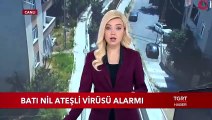 İstanbul'da 'Batı Nil Ateşli Virüsü' Alarmı Verildi