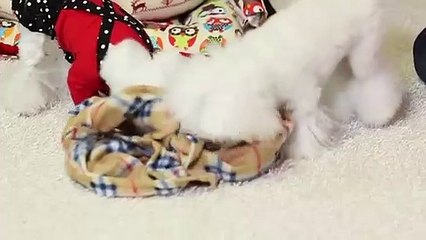 광양출장타이OiOy8109y5900｛카톡OYO78｝ぱ광양출장안@마ぱ광양출장샵ぱ광양출장맛사지 ぱ광양출장걸썰 광양출장걸가격 광양출장러시아 광양외국인후불출장업소 광양24시출장마사지샵'예약ゆょら