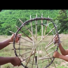 Tiger trap By Deep Hole And Rescue Tiger Back to The Wild