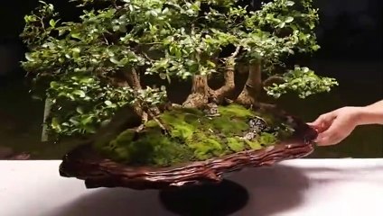 합천출장안마 -후불100%ョOiOy2997y5327｛카톡KC789｝ 합천전지역출장안마 합천오피걸 합천출장마사지 합천안마 합천출장마사지 합천콜걸샵ピフブ