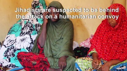 Relatives of victims 'in shock' after Nigeria ambush