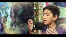 Pashto New Songs 2019 Tapey -- Grani Shereni - Sahir Shah -- Pashto Latest HD Songs Tapay Tappay