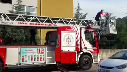 KOCAELİ Çatıya çıkan yavru köpekleri kurtardılar