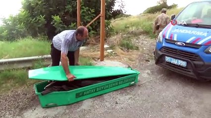 İskenderun'da deniz kıyısında kafası ve kolları olmayan erkek cesedi bulundu