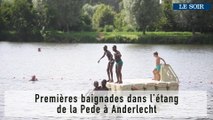 Premières baignades dans l'étang de la Pede à Anderlecht