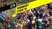 Summary - Stage 14 - Tour de France 2019