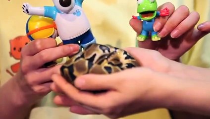 군산출장안마 -후불100%ョØ7ØE7575E0048｛카톡XN94｝ 군산전지역출장안마 군산오피걸 군산출장마사지 군산안마 군산출장마사지 군산콜걸샵てでと