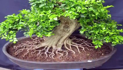 성산구출장안마 -후불100%ョO7Oy7575y0069｛카톡RD654｝ 성산구전지역출장안마 성산구오피걸 성산구출장마사지 성산구안마 성산구출장마사지 성산구콜걸샵‡♭