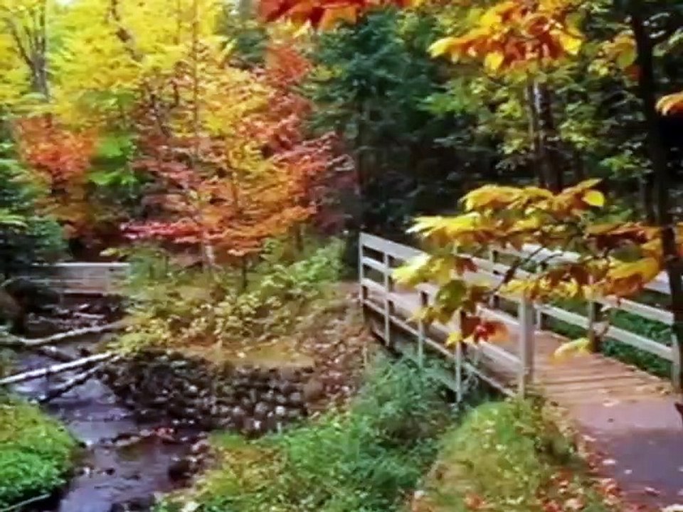 SONBAHAR SIZILARIM **yazan seslendiren video Aynur AVCI