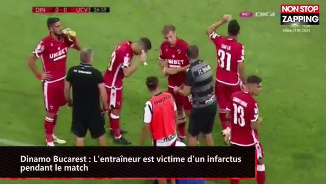 Dinamo Bucarest : L'entraîneur est victime d'un infarctus pendant le match (vidéo)