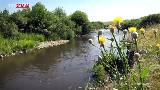 Kadınların oltayla balık tutma keyfi