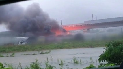 부산 기장군 임기리 화훼단지에서 불 / YTN