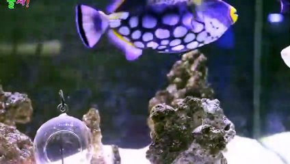 광주출장타이OiOc7362c3210｛카톡RQ43｝ぱ광주출장안@마ぱ광주출장샵ぱ광주출장맛사지 ぱ광주출장걸썰 광주출장걸가격 광주출장러시아 광주외국인후불출장업소 광주24시출장마사지샵'예약ゼソゾ