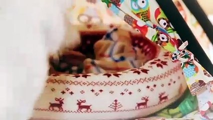 진안출장타이O7Os7301s9649｛카톡ZF66｝ぱ진안출장안@마ぱ진안출장샵ぱ진안출장맛사지 ぱ진안출장걸썰 진안출장걸가격 진안출장러시아 진안외국인후불출장업소 진안24시출장마사지샵'예약∑⇒∃